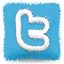 follow-twitter
