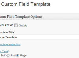custom-fields-thumbnail