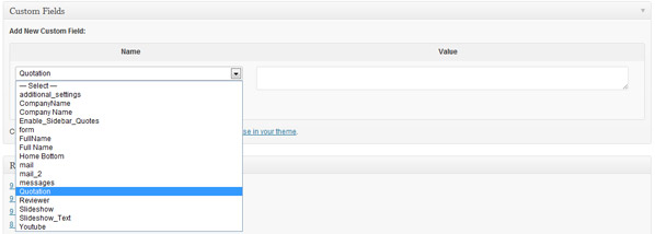 Default WordPress Custom Fields