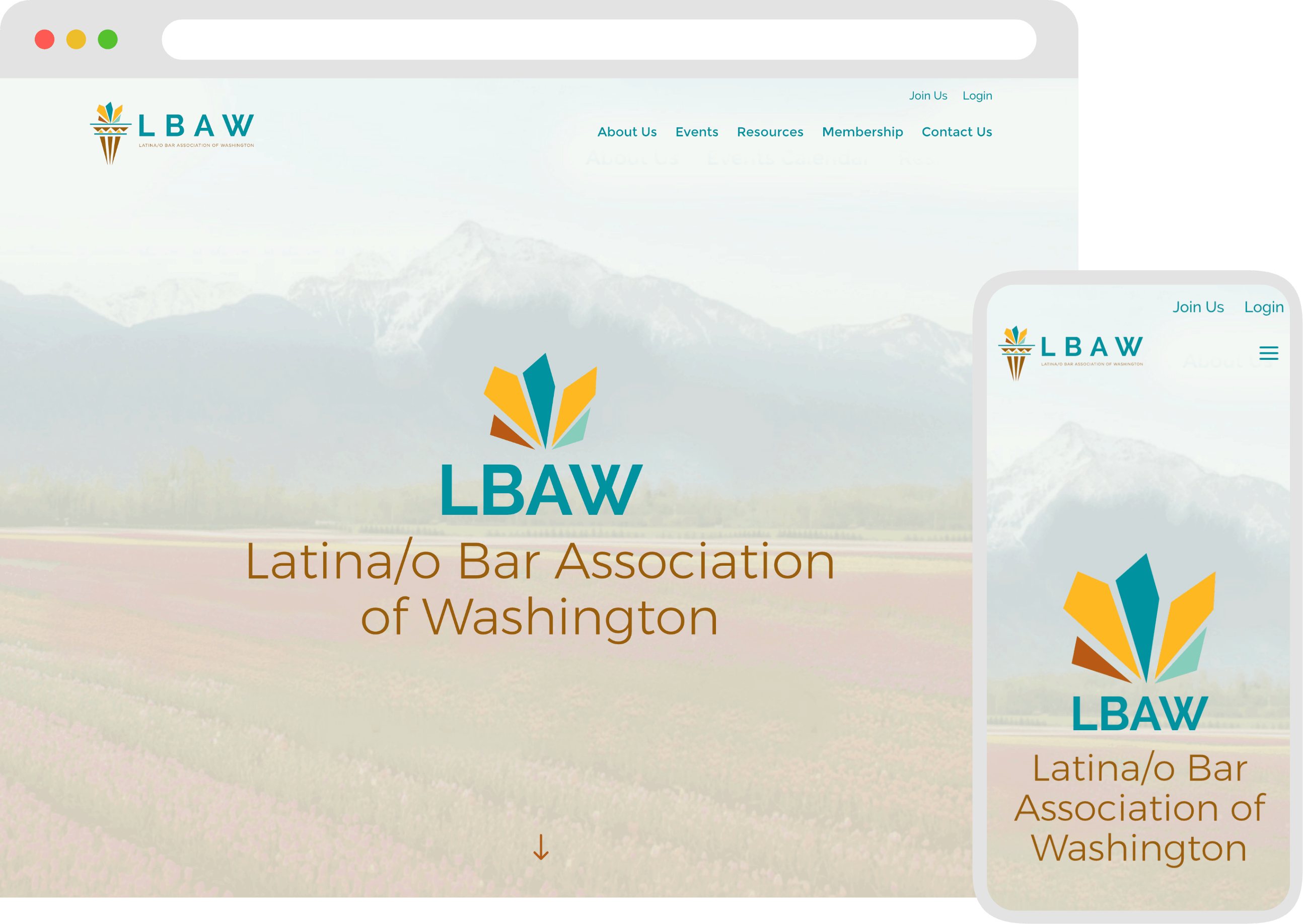 LBAW Image Top